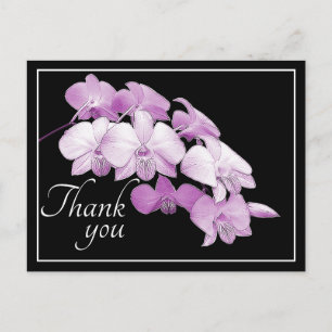 Gorgeous Pink Orchids Black Background Thank You Postcard