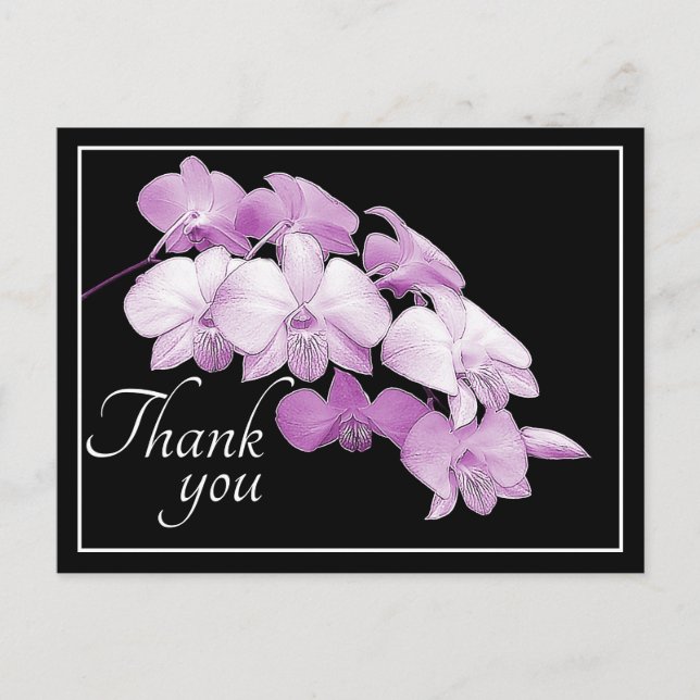 Gorgeous Pink Orchids Black Background Thank You Postcard (Front)