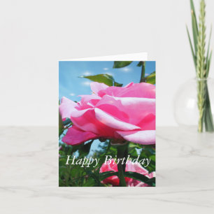 Gorgeous pink rose flower and green leaves in blue card