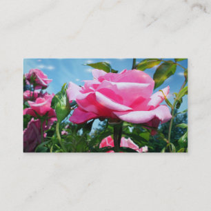 Gorgeous pink rose flower professional business card