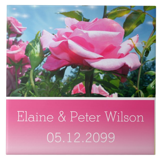 Gorgeous pink rose flowers wedding anniversary tile (Front)