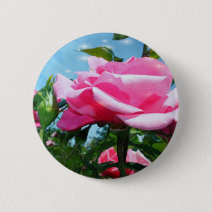 Gorgeous pink rose in blue sky. Floral photography 2 Inch Round Button