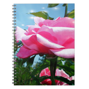 Gorgeous pink rose in blue sky. Floral photography Notebook