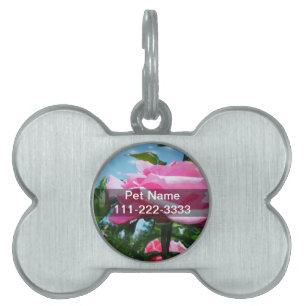 Gorgeous pink rose in blue sky. Floral photography Pet Name Tag