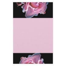 Gorgeous Pink Rose on Black