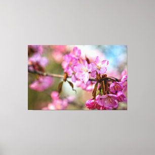 Gorgeous Pink Sakura Flowers In The Spring Garden Canvas Print