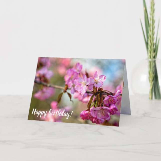 Gorgeous Pink Sakura Flowers In The Spring Garden Card (Front)