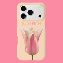 Gorgeous Pink Tulip