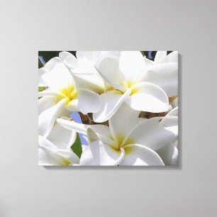 Gorgeous Plumeria Wrapped Canvas