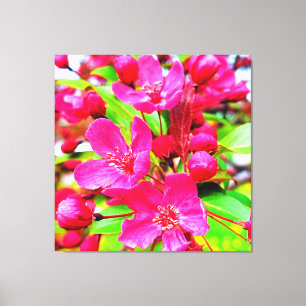 Gorgeous Red Barron Crabapple Photo Canvas Print