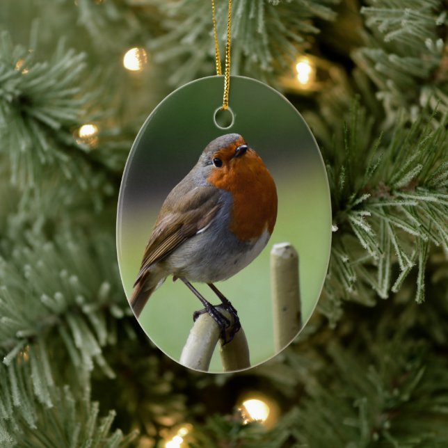 Gorgeous Robin  Ceramic Ornament (Tree)