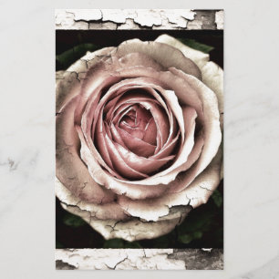 Gorgeous Rose