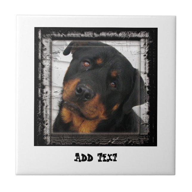 Gorgeous Rottweiler Dog face personalized Tile (Front)
