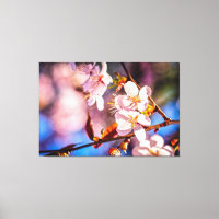 Gorgeous Sakura Blossoms