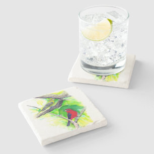 Gorgeous Scarlet Tanagers Birds Painting Stone Coaster