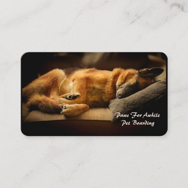 Gorgeous Sleeping German Shepherd on Couch Business Card (Front)