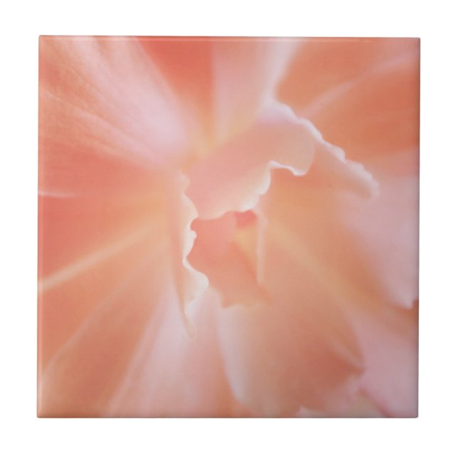 Gorgeous Soft Salmon Coloured Begonia Tile (Front)