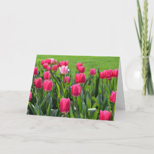 gorgeous spring pink tulip flowers happy birthday card