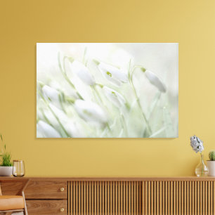 Gorgeous Spring White Flowers Canvas Print