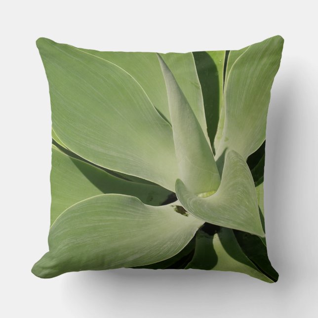 Gorgeous Succulent Plant Cotton Throw Pillow (Front)