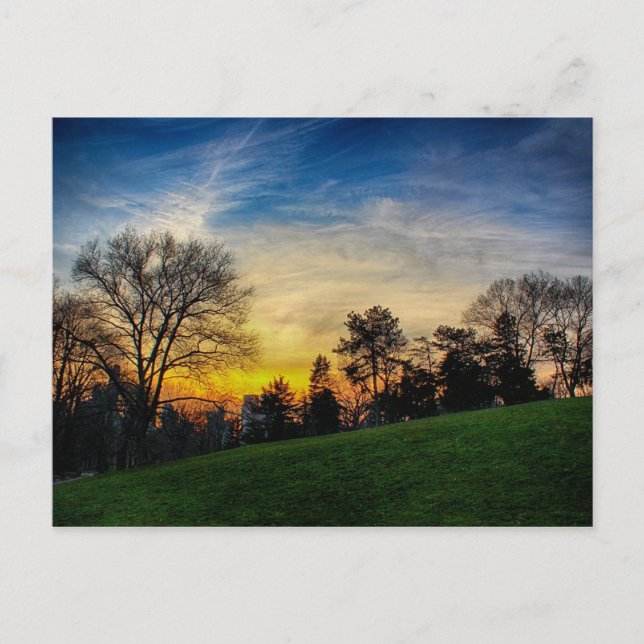 Gorgeous Sunset in Central Park, NYC Postcard (Front)