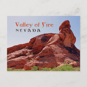 Gorgeous Valley of Fire, NV Postcard! Postcard