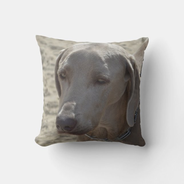 Gorgeous Weimaraner Throw Pillow (Front)