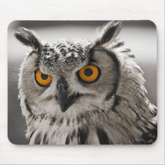 Gorgeous White Owl Mousepad
