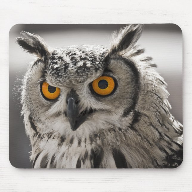 Gorgeous White Owl Mousepad (Front)