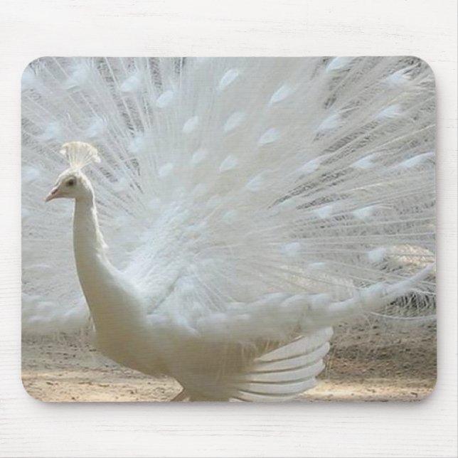 gorgeous white peacock mouse pad (Front)