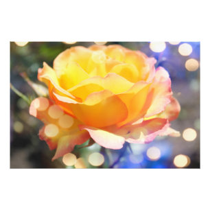 Gorgeous yellow rose flower. Floral photography Photo Print