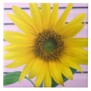 Gorgeous Yellow Sunflower Summer Bloom Tile