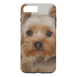 Gorgeous Yorkshire Terrier Case-Mate iPhone Case
