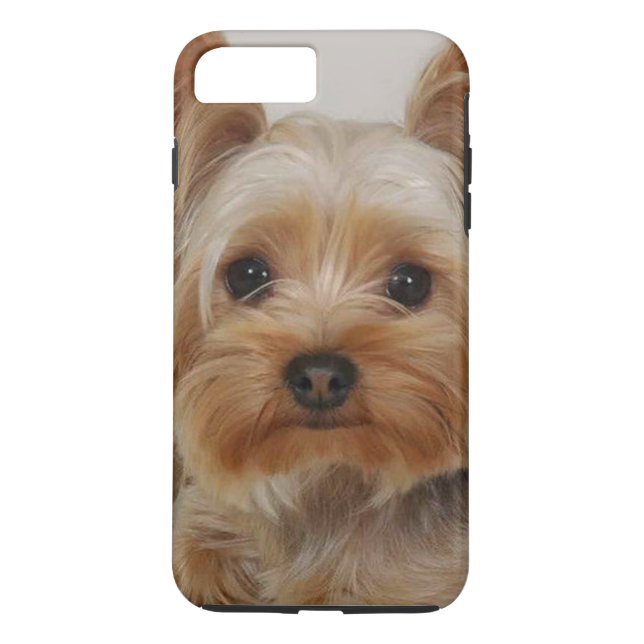Gorgeous Yorkshire Terrier Case-Mate iPhone Case (Back)