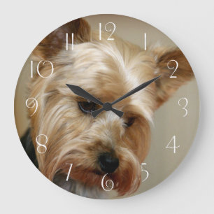 Gorgeous Yorkshire Terrier Large Clock