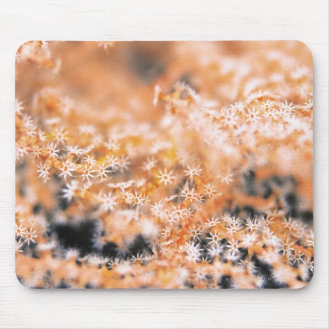 Gorgonian coral 2 mouse pad (Front)