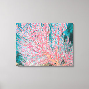 Gorgonian coral 3 canvas print