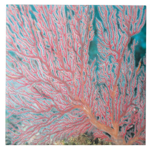Gorgonian coral 3 tile
