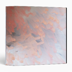 Gorgonian coral 4 binder
