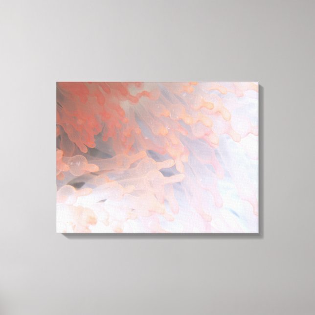 Gorgonian coral 4 canvas print (Front)