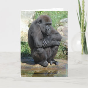 Gorila Sitting Greeting Card