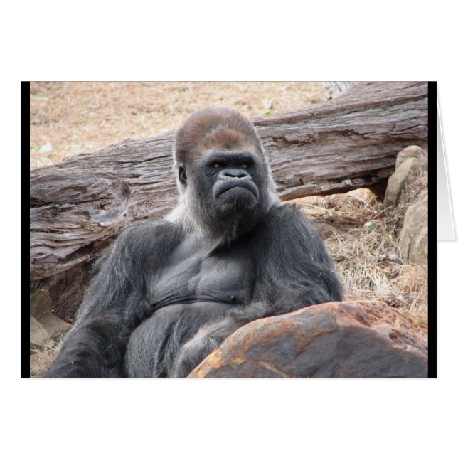 gorilla (Front Horizontal)