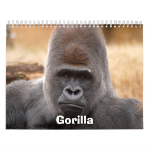 Gorilla_018, Gorilla Calendar