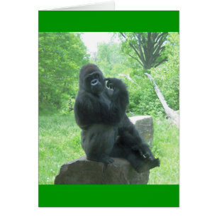 Gorilla #3