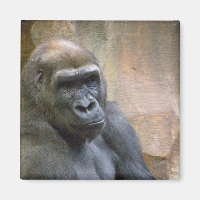 GORILLA, aimant (Devant)
