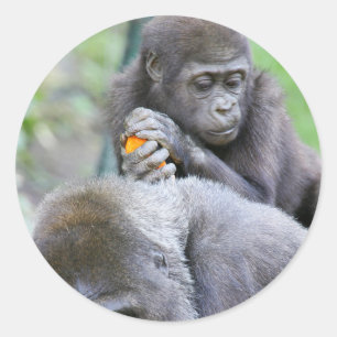 Gorilla and Baby Classic Round Sticker