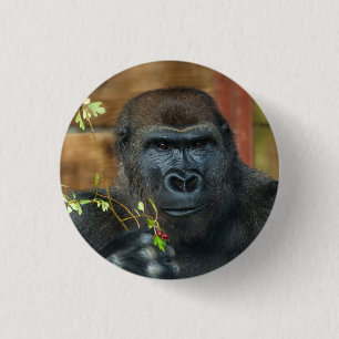 Gorilla And His Berries 1 Inch Round Button
