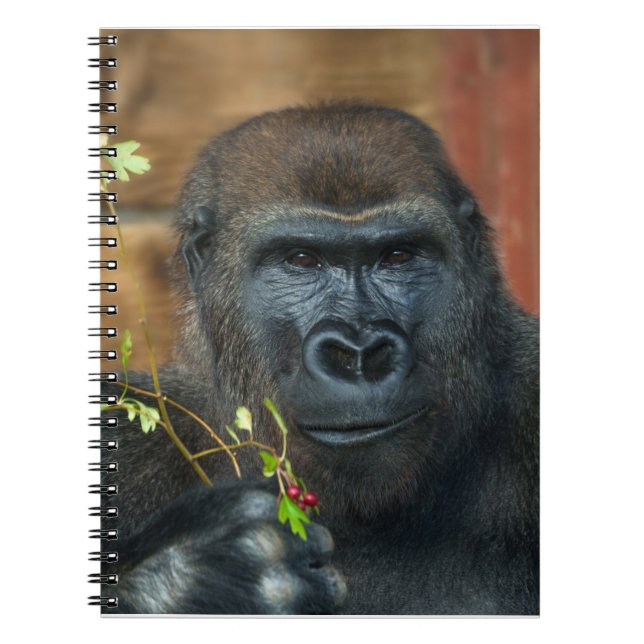 Gorilla And His Berries Notebook (Front)