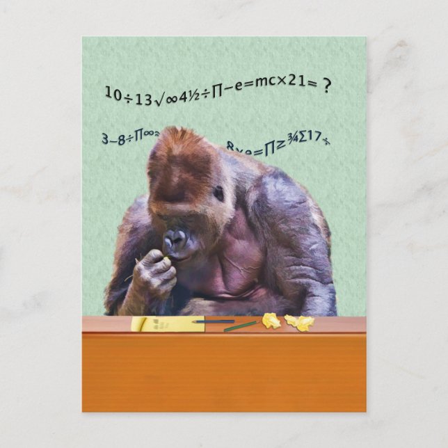 Gorilla at Desk Postcard (Front)