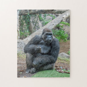 Gorilla at the zoo photo puzzle